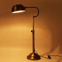 Tammey - NA Study Lamp