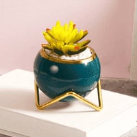 Norwood Artifical Plant