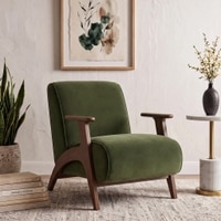Nido Fabric Lounge Chair In Deep Olive Velvet Colour