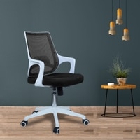 Xeanea Mid Back Ergonomic Chair in Black Colour