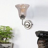 Devansh Steel Electric Wall Light in Steel Colour with Transparent Shade Count of 1 Light