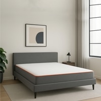 7-Zone Dual-Hard And Soft (75 x 72 in, 8 inches)