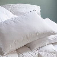 Plush Collection Medium - Firm Pillow 50 X 70cm