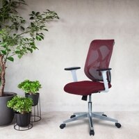 Wiwngas Mid Back Ergonomic Chair in Maroon Colour