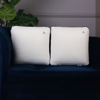 2 Pcs Memory Foam Back Support Cushion 16X16