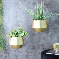 Hanging Wine Planter Set Of 2 In Gold Colour