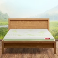 Avaasa 100% Natural Latex and Coir Mattress (78 x 72 in, 6 Inches)