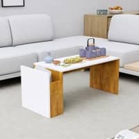 Hexa Engineered Wood Coffee Table In Giant Wood And Frosty White
