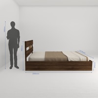 Salmacis Engineered Wood Queen  Size Bed Without Storage (Walnut Finish)