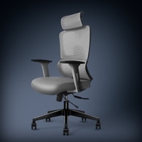 Imperia Ergonomic Study Chair in Grey Colour