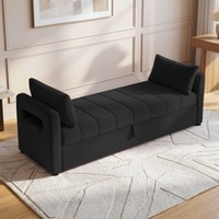 Jedlo Velvet 2 Seater Ottoman Bench with Storage in Black Color