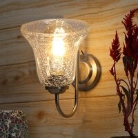 Devansh Steel Electric Wall Light in Steel Colour with Transparent Shade Count of 1 Light