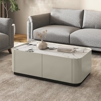 Dorian Engineered Wood Coffee Table With Ceramic Top in Taupe High Gloss Finish