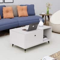 Hexa Engineered Wood Center Table With Storage And Open Rack In Frosty White