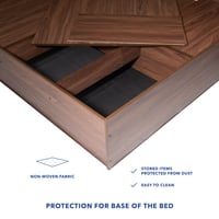 Lush Engineered Wood Queen  Size Bed With Box Storage (Walnut Finish)
