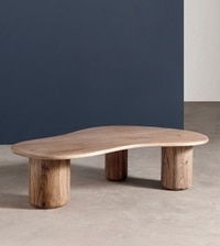 Hima Solid Wood Coffee Table In  Natural Finish