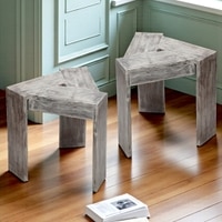 Avina Sheesham Wood Set of 2 End Tables / Tea Tables in Rustic Grey Matte Finish