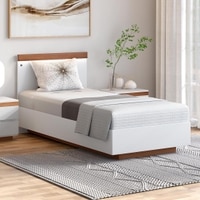 Juda Engineered Wood Single Size Non Storage Bed in Frosty White and Urban Teak Brown