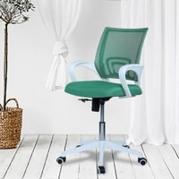 Naamikoa Mid Back Ergonomic Chair in Dark Green Colour