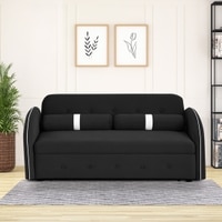 Jayen 3 Seater Pull Out Sofa cum Bed  in Black Colour