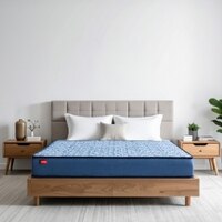 KURLON DuoRest Essential 6 inch Double Bonded Foam Mattress (L x W: 72 inch x 48 inch)
