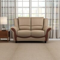 Blos 2 Seater Leatherette Sole in Mushroom Brown Colour