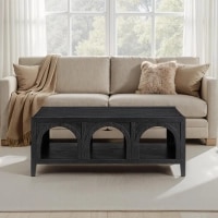 Fitzgerald Wood Coffee Table with Arched Storage