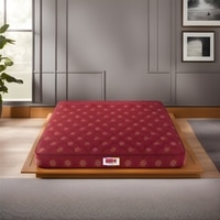 Resteria Bio Foam Coir Mattress