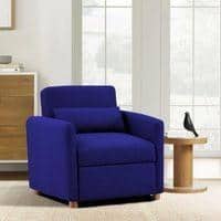 Jernell 1 Seater Sofa Cum Bed In Navy Blue Color