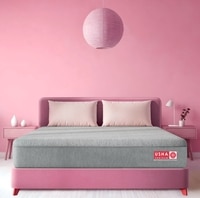 Aero Ortho Memory Spine Alignment Double Size Mattress (Mattress Thickness: 6 Inches, Mattress Dimensions: 75 x 48 in)