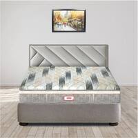 GrandeOrthopedic Euro Top With Rebotech Technology 5.5 Inch Single Size Bonded Foam Mattress (78X36 Inches), ConvolutedHR Foam, SoftRelax Comfort Mattress