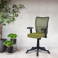 Eexcaeal Mid Back Ergonomic Chair in Pearl Green Colour