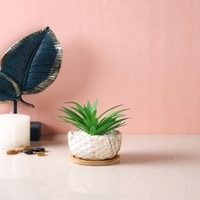 Artificial Fern Plant In A Patterned Ceramic Pot With A Wooden Plate