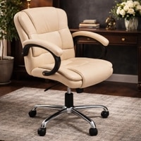 Adiko Stylish Low Back Workstation Chair