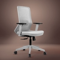 Veritas Mid Back Mesh Office Chair in Grey Colour
