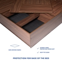 Lush Engineered Wood Queen  Size Bed With Box Storage (Walnut Finish)