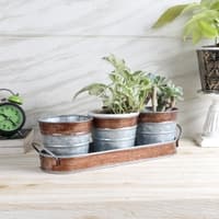 Metal Table Planters With Tray Set Of 4 In Brown And Silver Colour