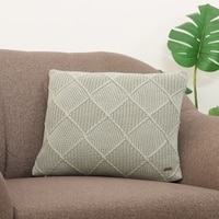 Danube Desert Sage Cushion Cover 16X16  Inches