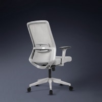 Veritas Mid Back Mesh Office Chair in Grey Colour
