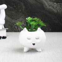 White 1 Pieces Succulent Artificial Plant With Pot