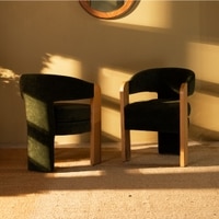 Nouve Solid Wood Dining Chair in Green Colour