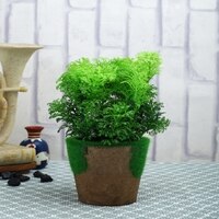 Artificial Fern Indoor Plant With Pot