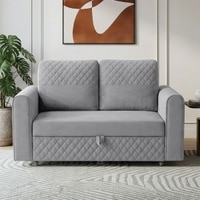 Baruna 2 Seater Velvet Pull Out Sofa Cum Bed with Storage In Grey Color