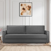 Flycon 3 Seater Pull Out Sofa cum Bed  in Dark Grey Colour