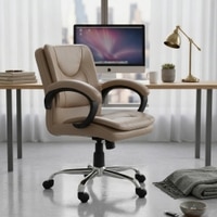 Adiko Stylish Low Back Workstation Chair