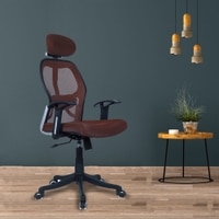 Reaii Mid Back Ergonomic Chair in Brown Colour