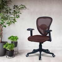 Aaeroa Low Back Ergonomic Chair in Brown Colour