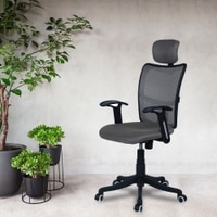 Jeaorda High Back Ergonomic Chair in Grey Colour