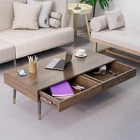 Hexa Engineered Wood Coffee Table With 2 Drawers In Flower Wenge
