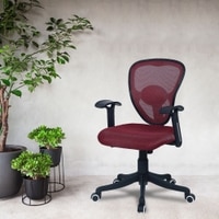 Aaeroa Low Back Ergonomic Chair in Maroon Colour